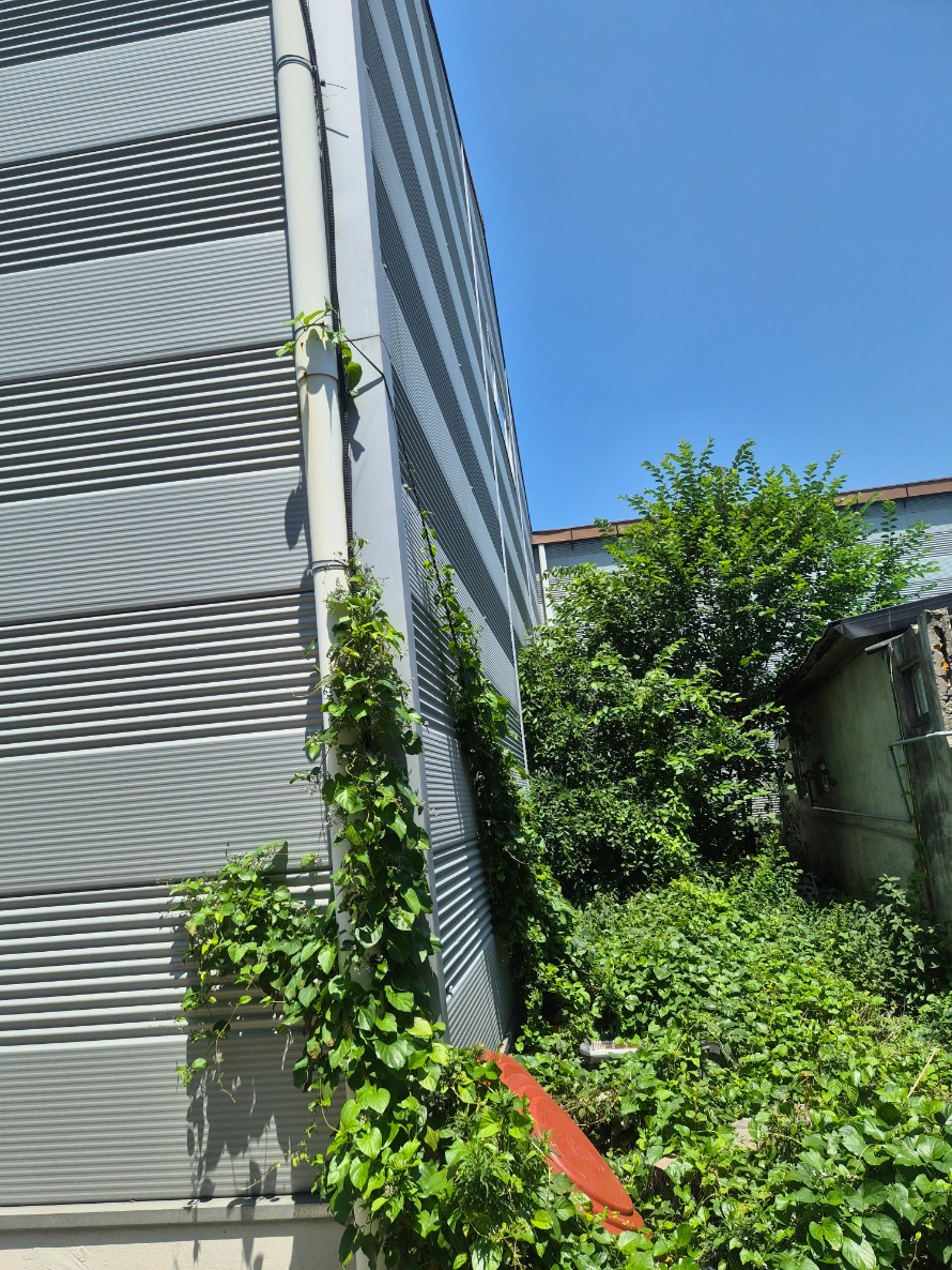 20260628_133054.jpg