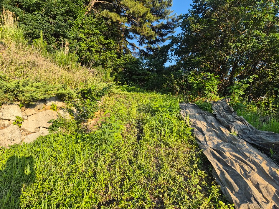 20260628_183439.jpg