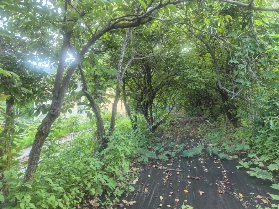 20260822_164555.jpg