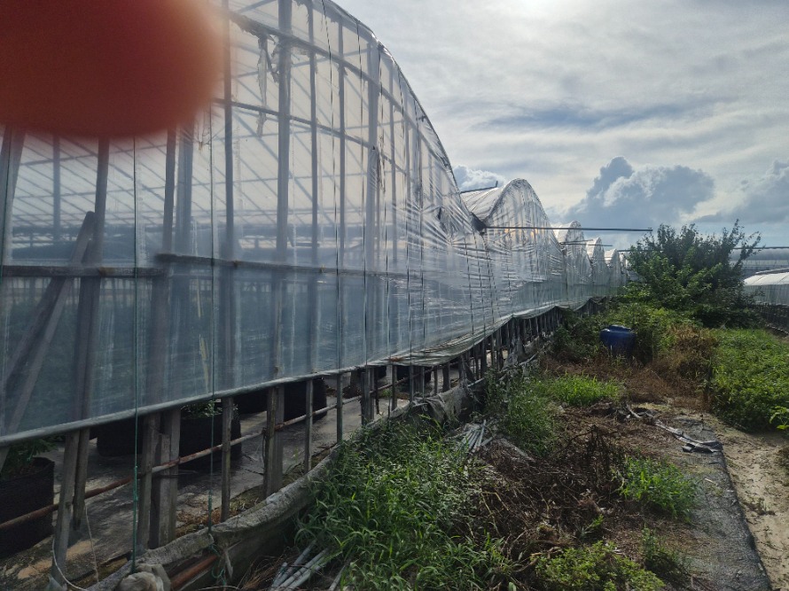20260831_160919.jpg