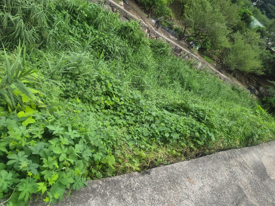 20260901_125929.jpg