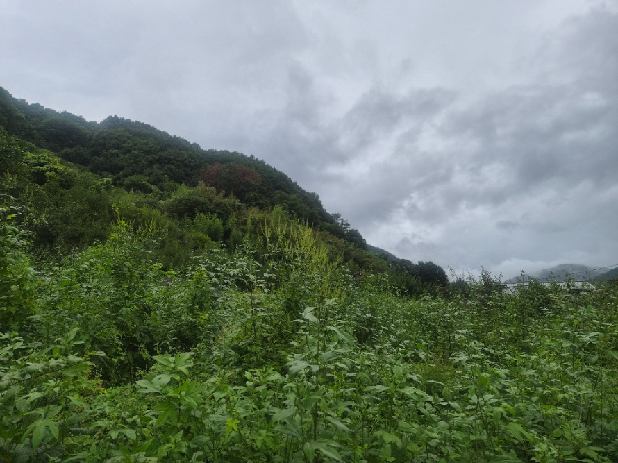20260901_134147.jpg