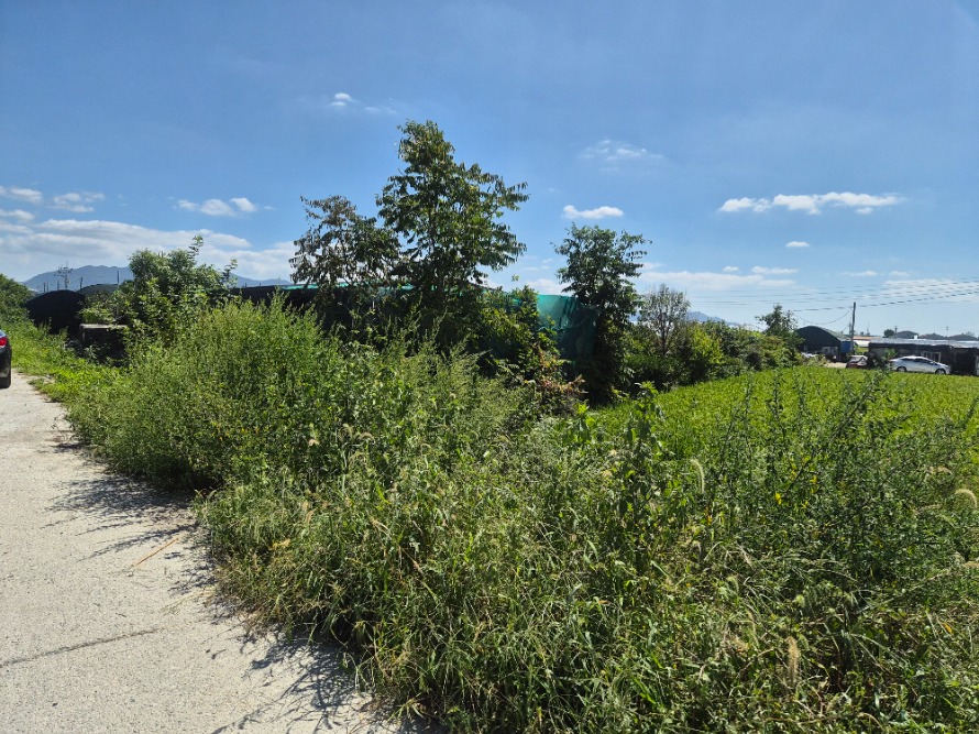 20260908_120234.jpg