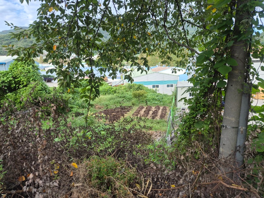 20260911_075940.jpg